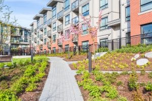 Lee más sobre el artículo ¿Qué es la accesibilidad universal?